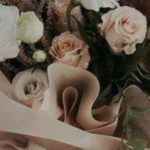 Meet your Posher, Yaneth